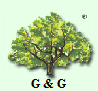 G&G